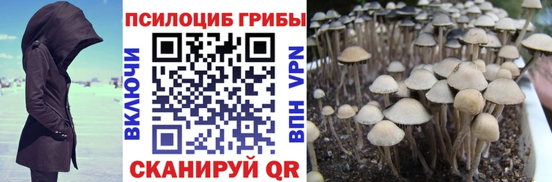 Купить  Таруса  Псилоцибиновые грибы ЛСД 